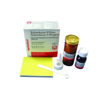 Endomethasone N - набор (14 г+10 мл) материал для пломбирования каналов